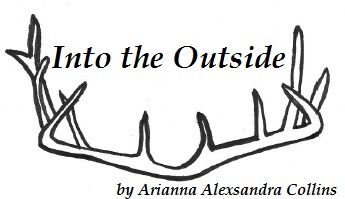 Into the Outside by Arianna